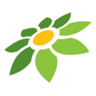 LINK ALXTOTO